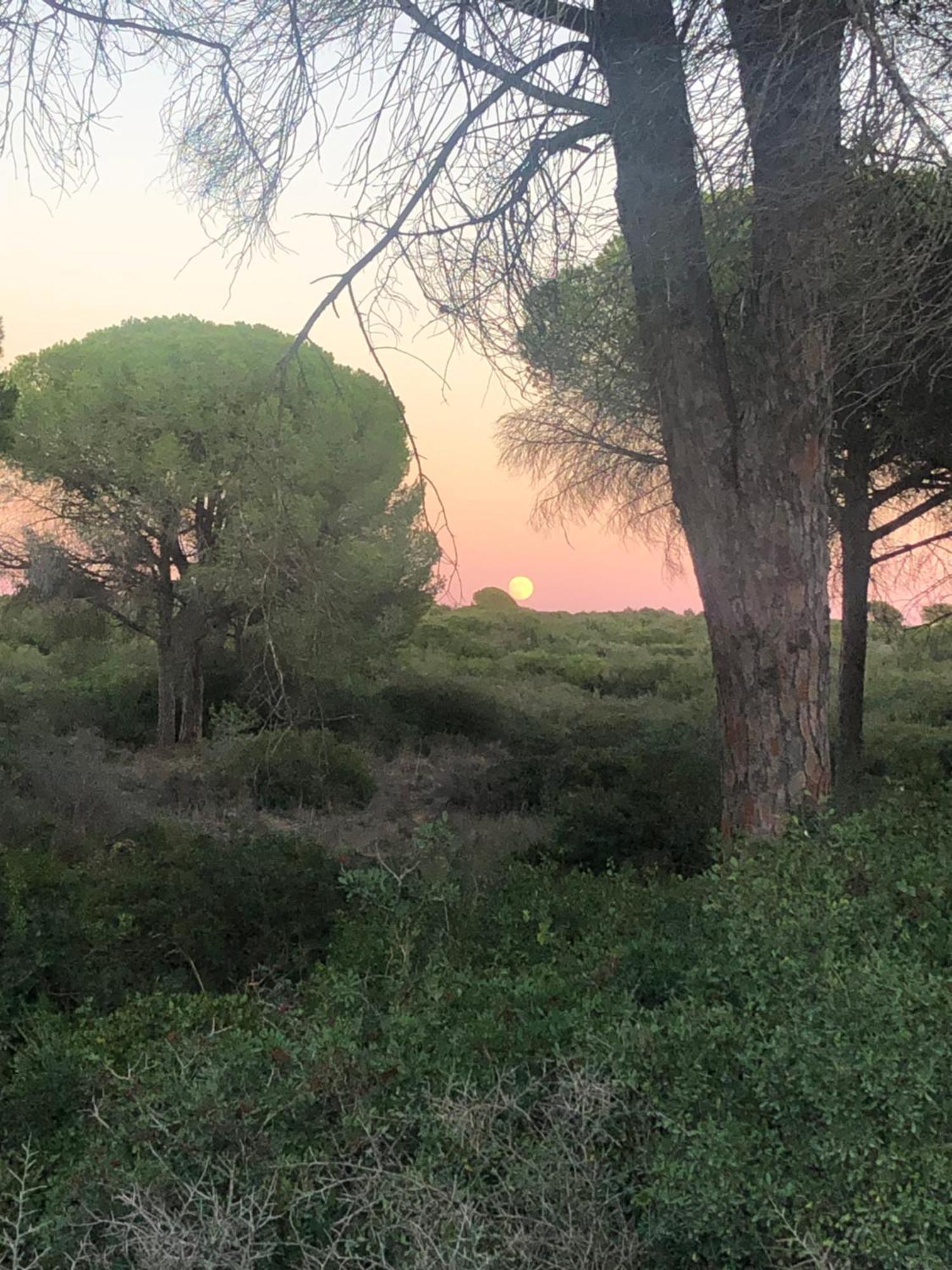 Casa Rural Los Pepe Sancti Petri Chiclana de la Frontera Esterno foto