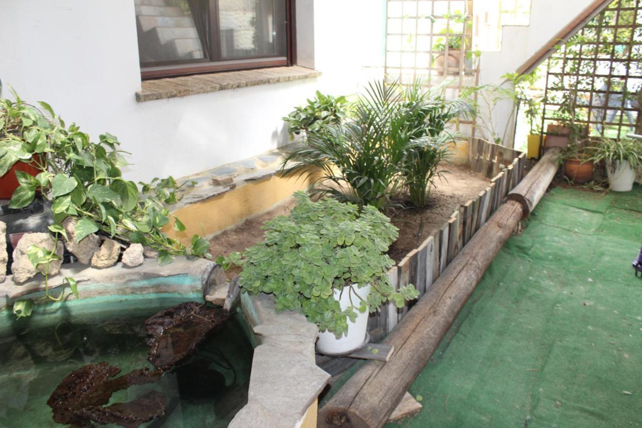Casa Rural Los Pepe Sancti Petri Chiclana de la Frontera Esterno foto
